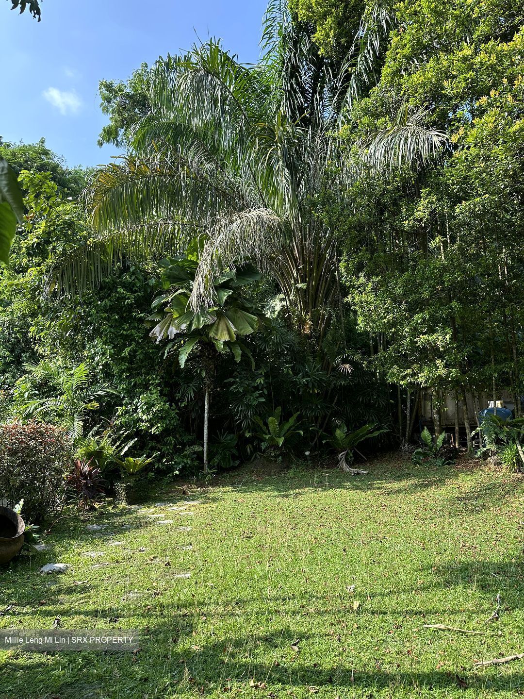 Clementi Green (D21), Semi-Detached #588261391